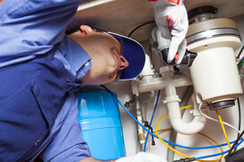 garbage disposal 1